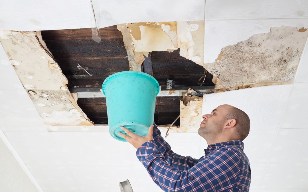 Understanding the Scope of Water Damage Cleanup in Omaha, NE