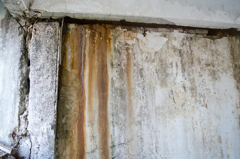 Safeguard Your Space: Top Mold Removal Services in Council Bluffs, IA