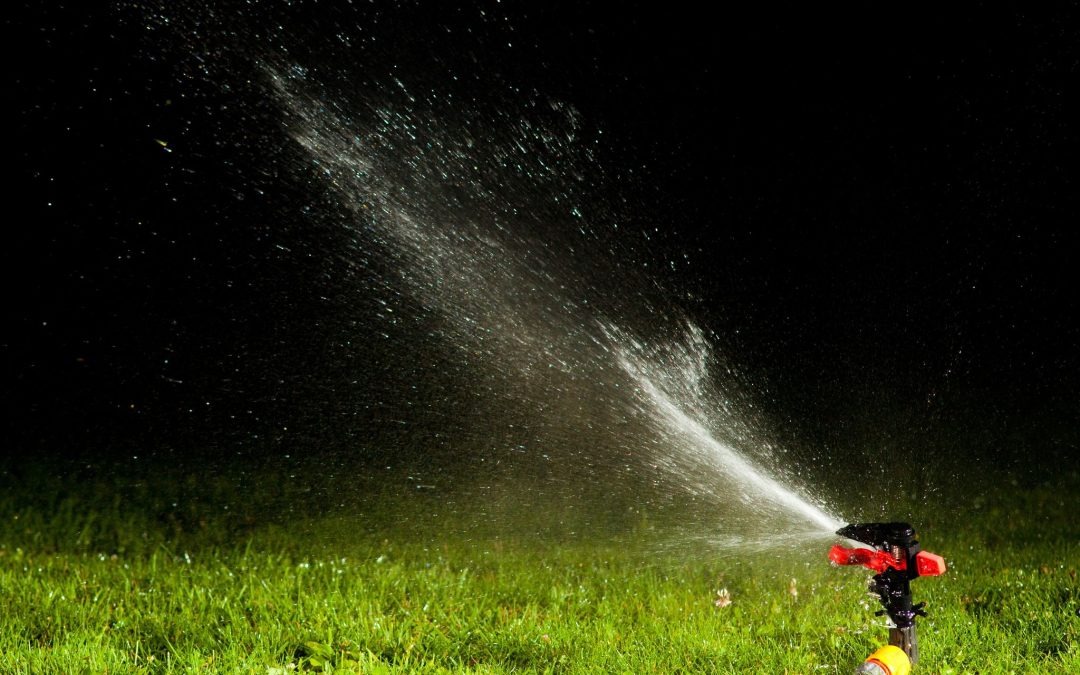 Optimize Your Lawn: The Importance of Choosing the Right Sprinkler Company in Austin