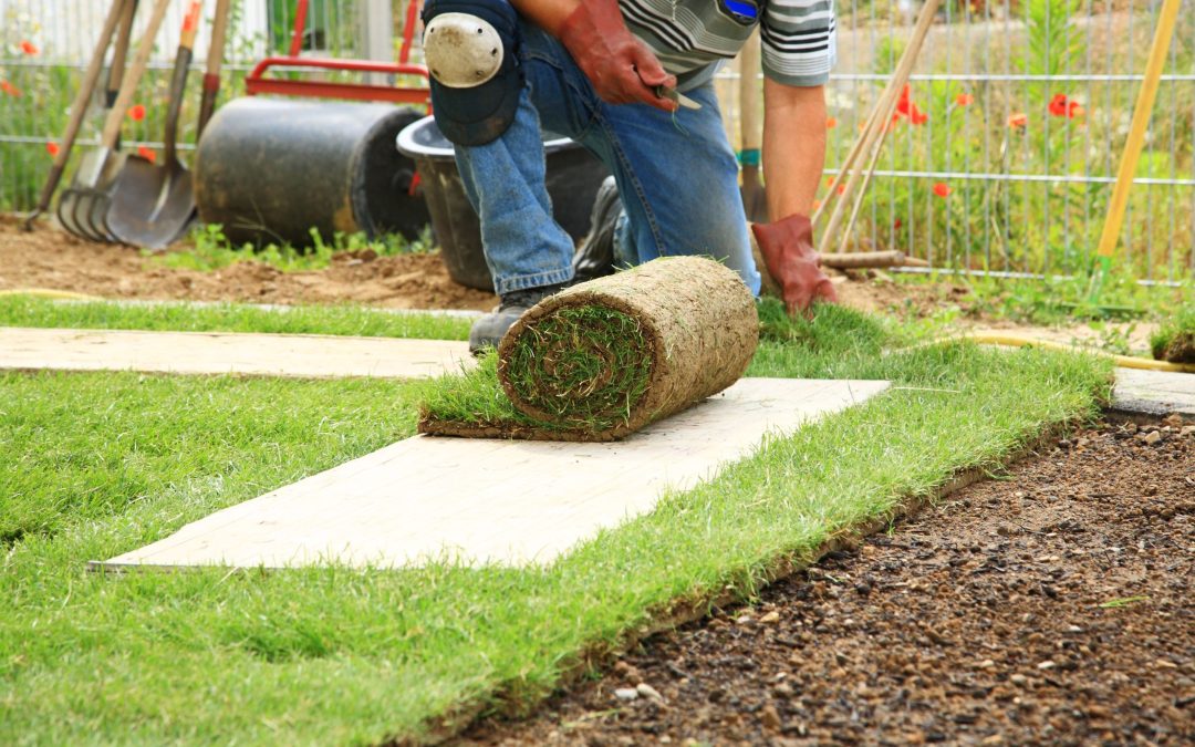 Enhance Your Business with Professional Commercial Lawn Care in Maple Grove