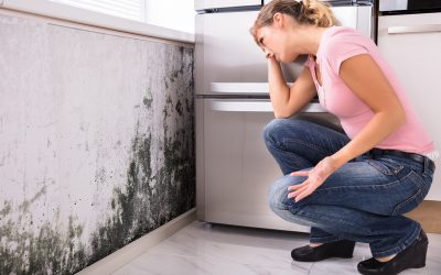 Essential Guide to Mold Remediation in Council Bluffs, IA