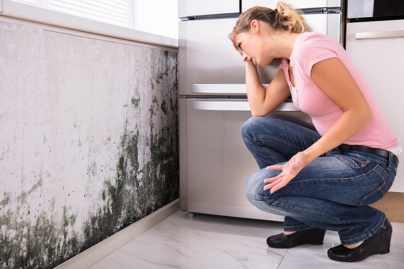 Essential Guide to Mold Remediation in Council Bluffs, IA