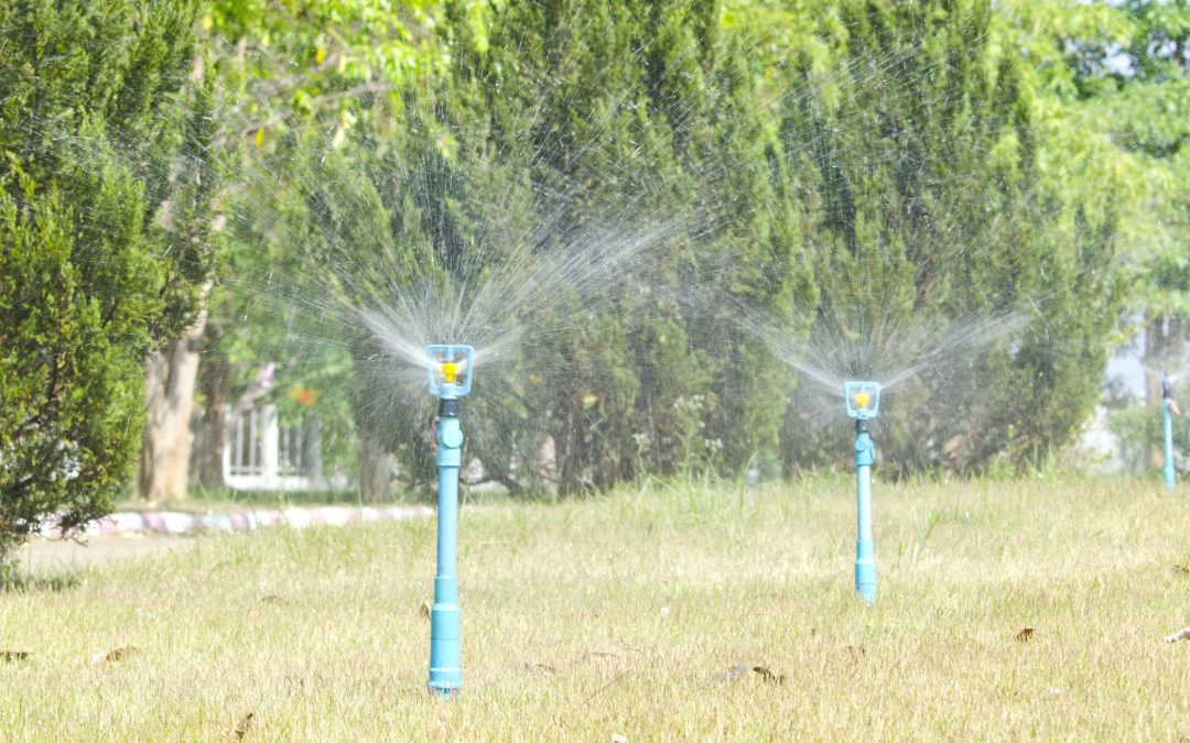 Ensuring a Thriving Landscape: Your Guide to Finding a Reliable Sprinkler Repair Company in Austin