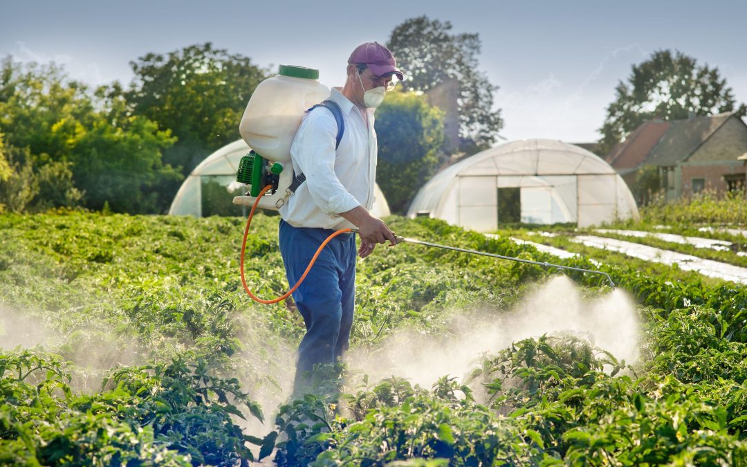 Tech Meets Tradition: The Rise of Agriculture Drone Spray in Bloomington Modern Farming Practices