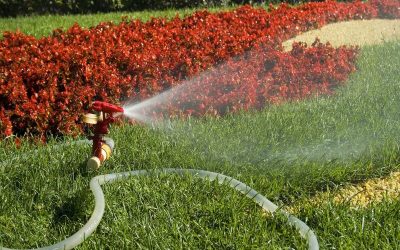 Save Water and Money with Expert Sprinkler Repair Service Round Rock Homeowners Trust