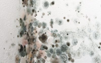 The Importance of Asbestos Testing & Cleanup Services Dallas-Ft.Worth TX for Homeowners