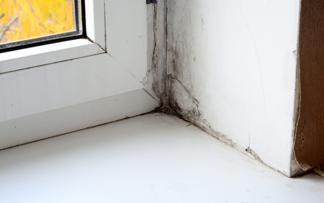 Essential Guide to Fire Damage Restoration Murrieta CA for Safer Home Rebuilding