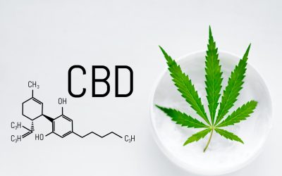 Unlocking Wellness Benefits With Expert Guidance at a Chicopee Dispensary