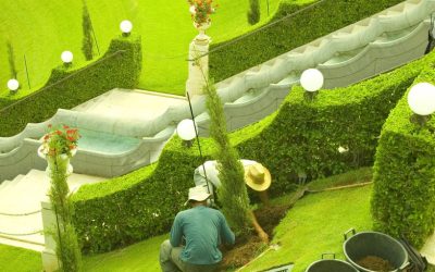Commercial Lawn Care Company Ensures Curb Appeal With Reliable Maintenance