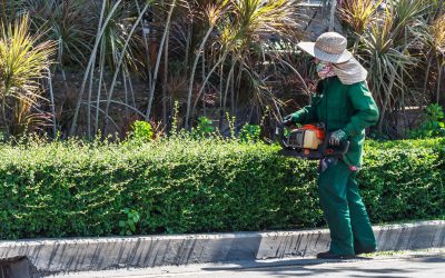 Improve Business Curb Appeal with a Commercial Lawn Care Company Trusts