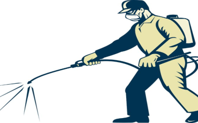 Protect Your Home From Moisture Damage With Crawl Space Encapsulation In Senoia, GA Solutions