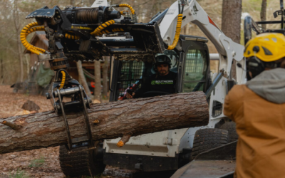 Improve Curb Appeal Effortlessly With Reliable Tree Service In Milner, GA