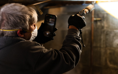 Signs You Need A Mold Inspection In Macon, GA, Before Home Renovations Begin