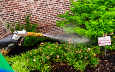 Say Goodbye to Pesky Weeds With Reliable Weed Control Services In Germantown, TN, Solutions